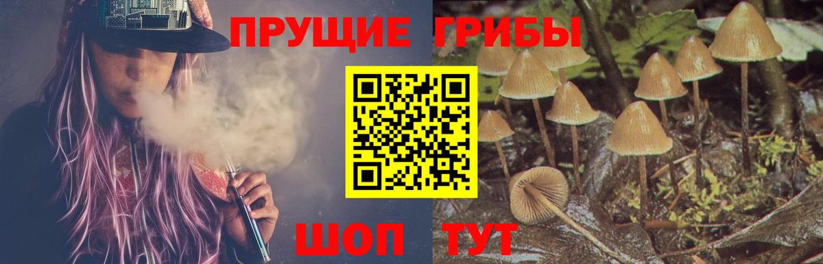 Псилоцибиновые грибы ЛСД  Вход с VPN  Всеволожск 